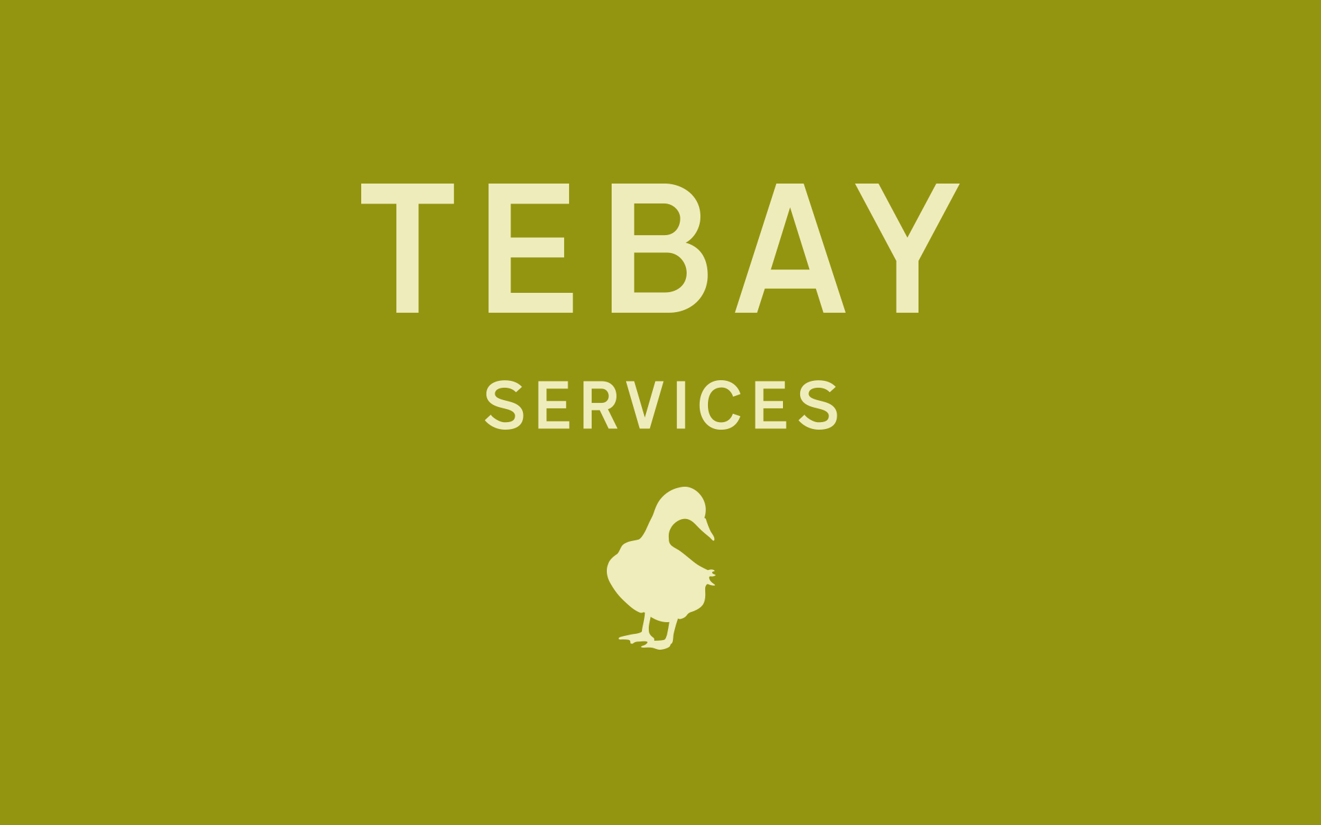 Tebay Logos Animation